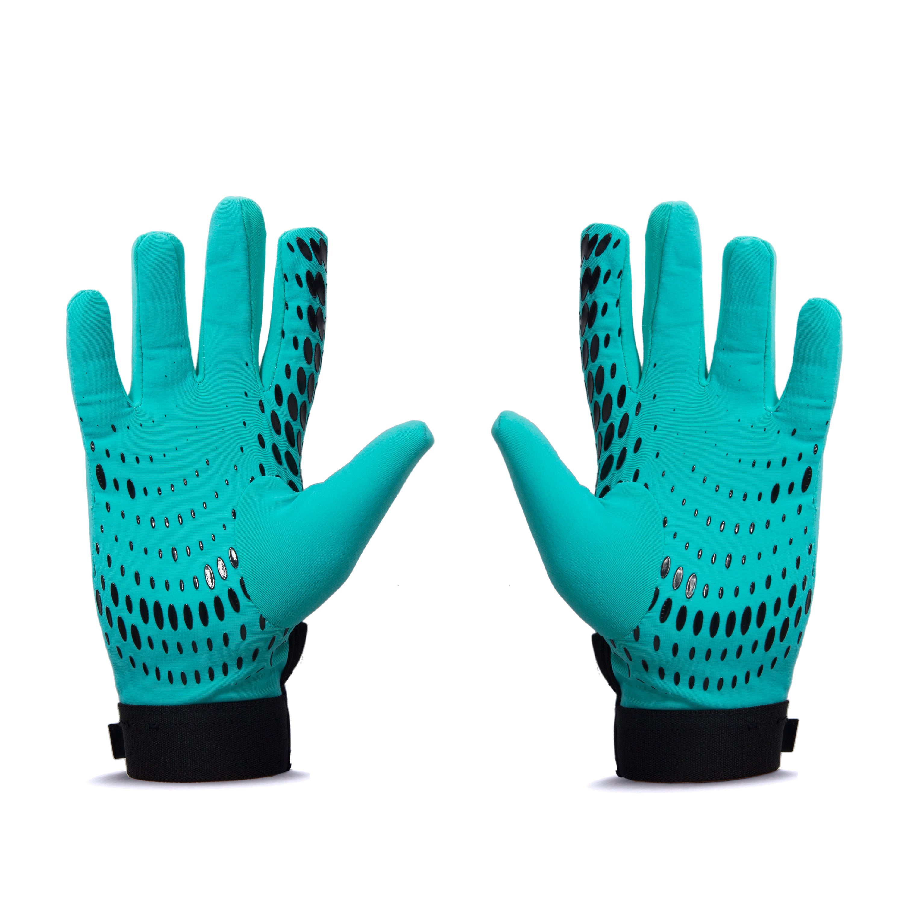 WINTER GLOVE